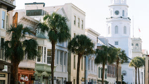 charleston sc broad street historic buildings