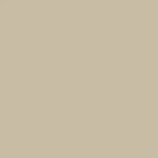 Women’s Nude Bralette - Gigi